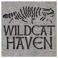 Wildcat Heaven