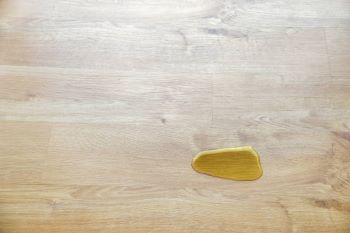 Plas van kat op een houten vloer