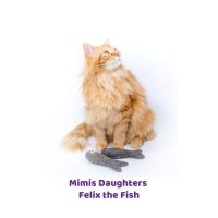 Kat met 2 Felix the Fish kattenspeeltjes van Mimis Daughters
