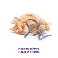 Monte the Mouse van vilt en een staart van 2 meter. Merk is Mimis Daughters. Jouw kat speelt er graag mee.