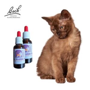 Bach bloesem mix op maat voor katten