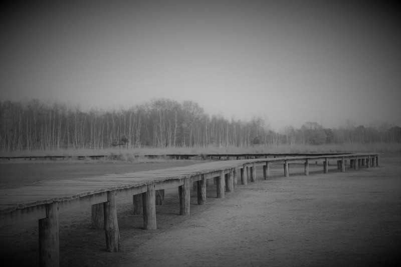 Op weg naar gedragsadvies aan huis in Tilburg maak ik een uitstapje naar Huis ter Heide Tilburg