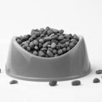 Naar blog: hoeveel moet een kat eten?