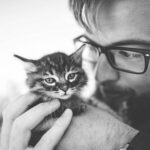 Naar blog: waarom een kat niet optillen